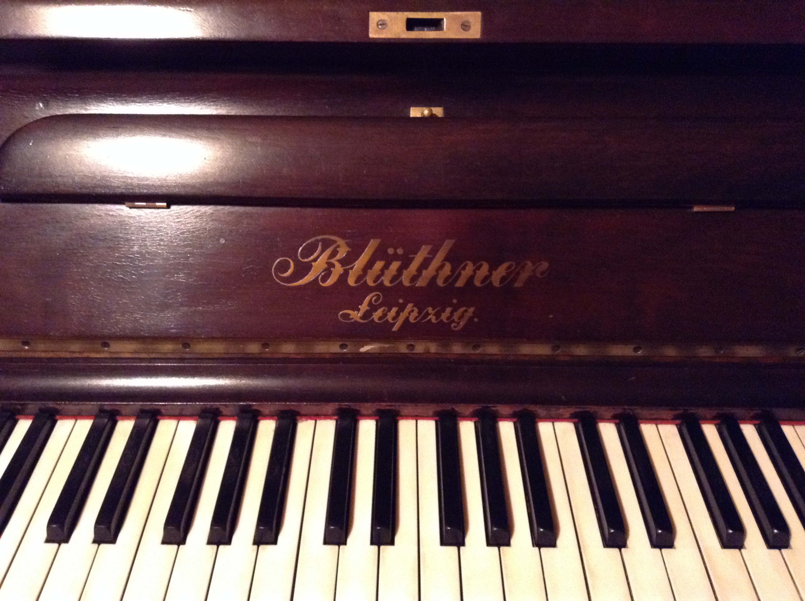 Bluthner logo and keys